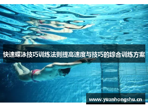 快速蝶泳技巧训练法则提高速度与技巧的综合训练方案