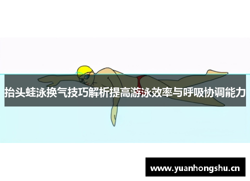 抬头蛙泳换气技巧解析提高游泳效率与呼吸协调能力