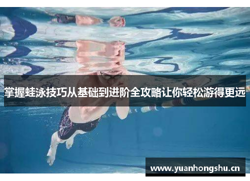 掌握蛙泳技巧从基础到进阶全攻略让你轻松游得更远
