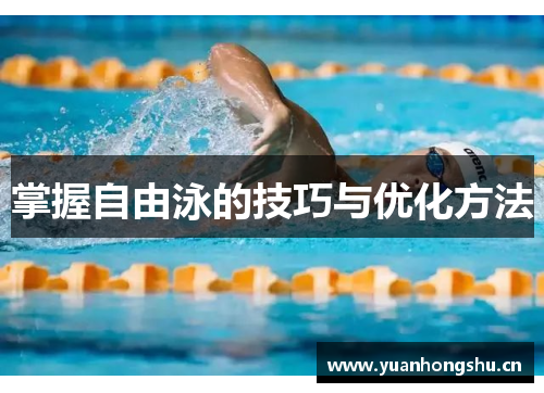 掌握自由泳的技巧与优化方法