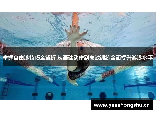 掌握自由泳技巧全解析 从基础动作到高效训练全面提升游泳水平