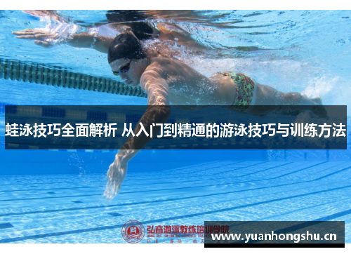 蛙泳技巧全面解析 从入门到精通的游泳技巧与训练方法
