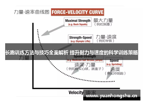 长跑训练方法与技巧全面解析 提升耐力与速度的科学训练策略
